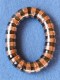 BRACELETS - METAL MB-BRA01 - Oriente Import S.r.l.