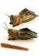 WOODEN ANIMAL FIGURES GI-FAGR10-11 - Oriente Import S.r.l.